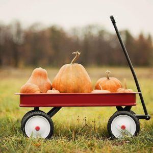 Pumpkin Kisses and Harvest Wishes (1)